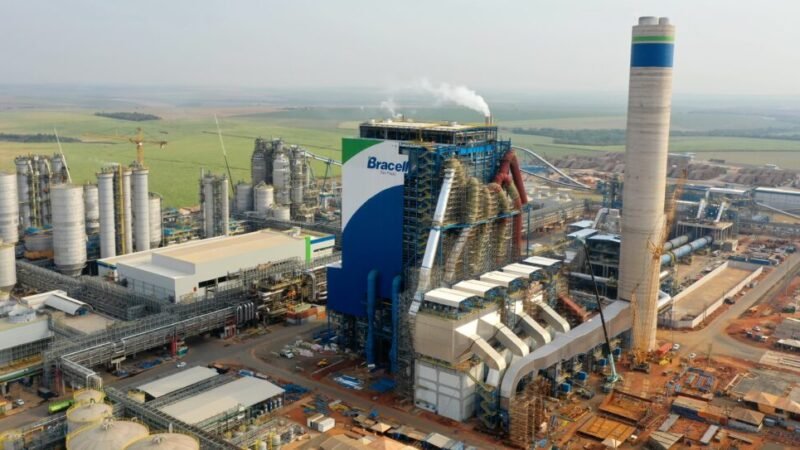 Bracell abre inscrições para programa de estágio