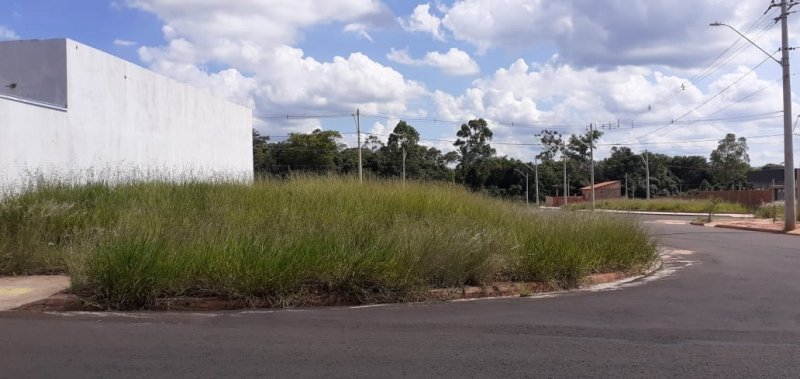 São Manuel aplica mais de 250 multas a proprietários que não efetuaram limpeza de terrenos