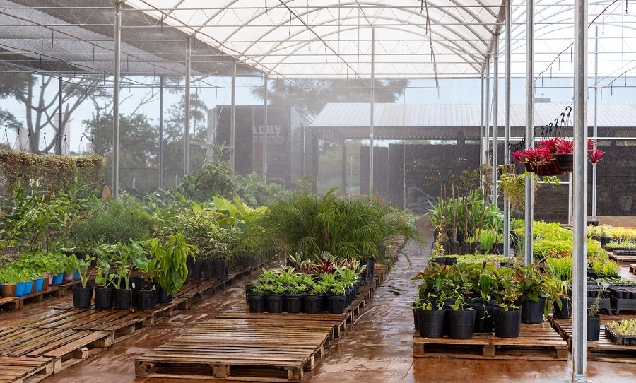 Iniciativa cria agrofloresta e produção de orgânicos próximo ao Ribeirão Lavapés, no Centro de Botucatu