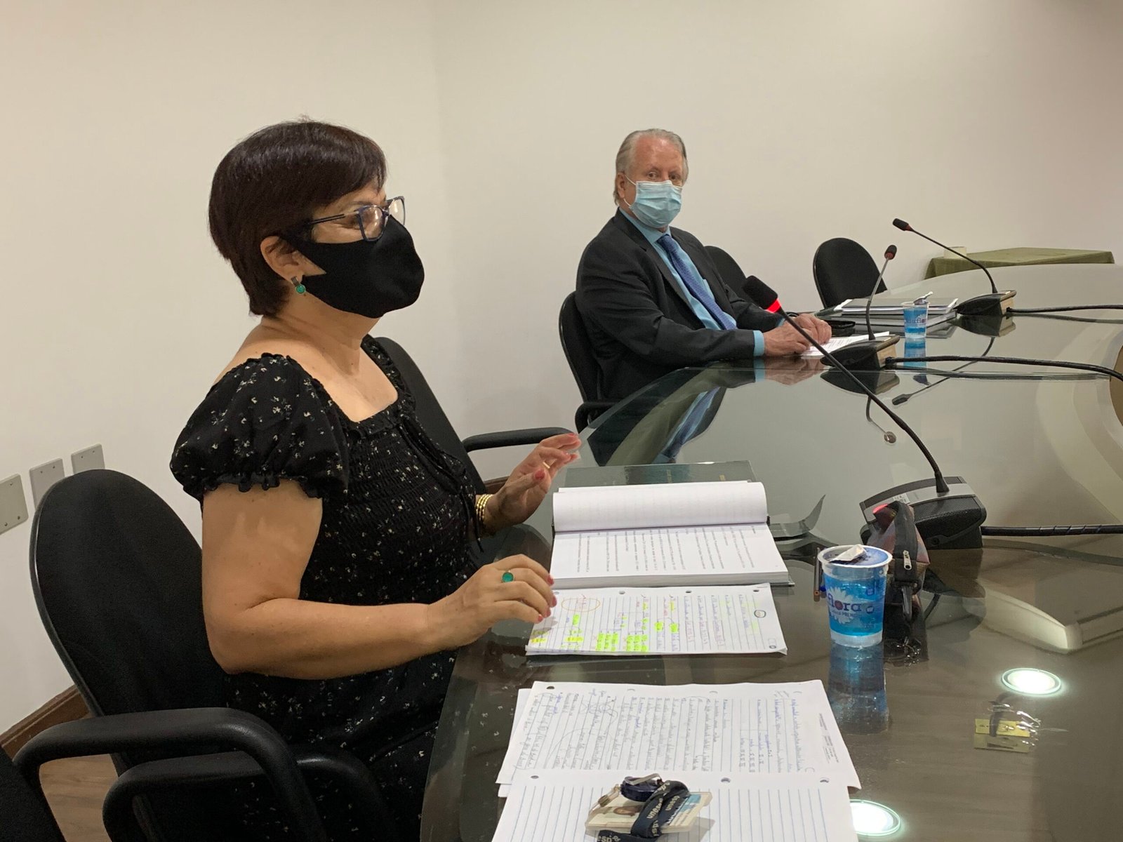 Lucilene Ruiz é aprovada como livre-docente da Unesp Botucatu