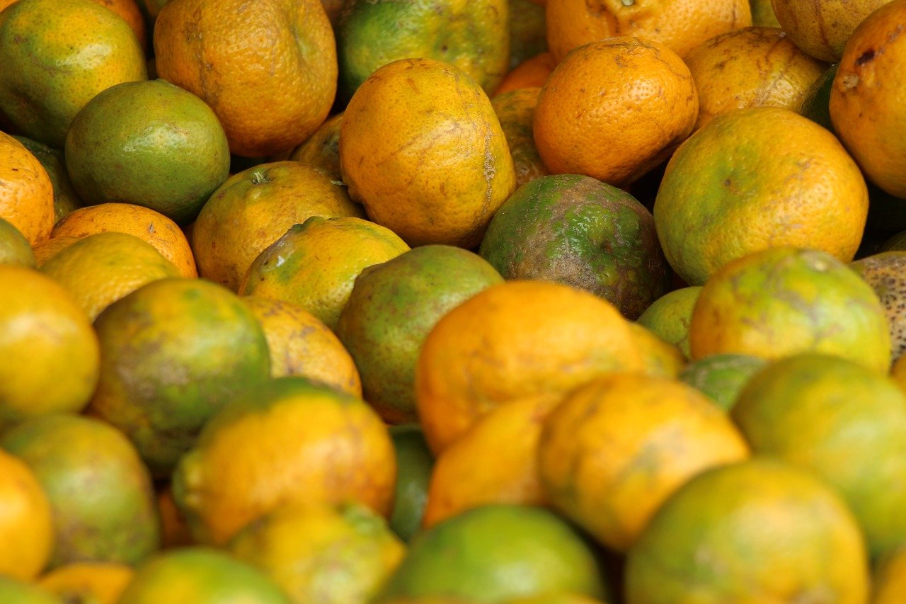 Além de mais sabor, frutas e verduras da estação têm mais nutrientes