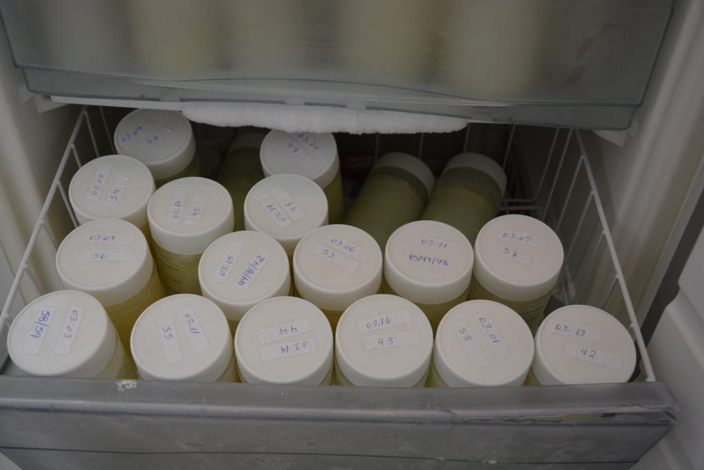 Banco de Leite Humano de Botucatu precisa de doações