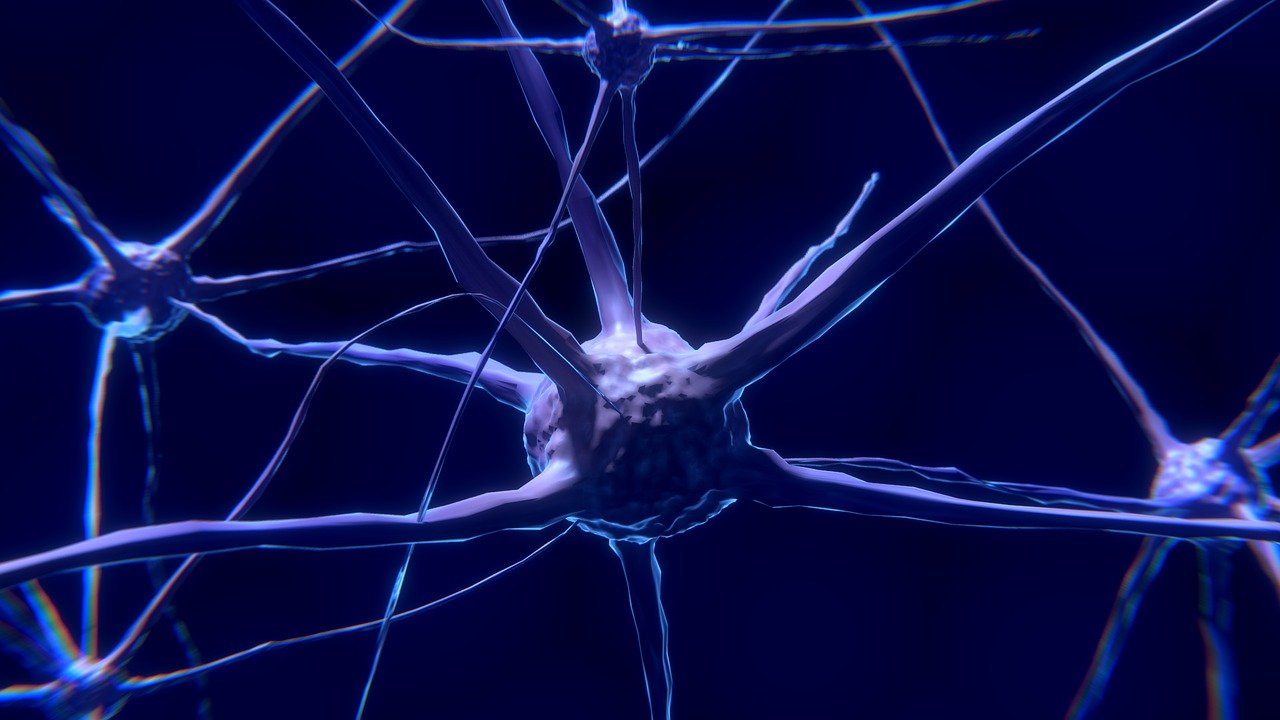 Infecção por vírus da mononucleose aumenta em 32 vezes o risco de esclerose múltipla, diz estudo