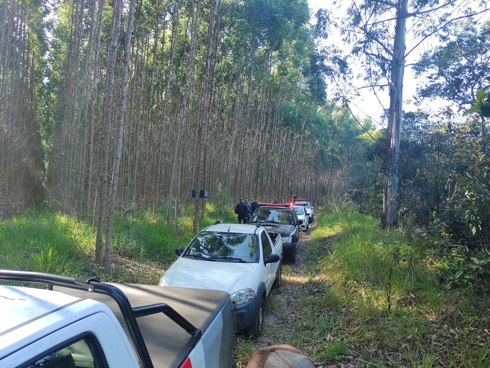 Operação policial combate furtos a propriedades rurais em Itatinga