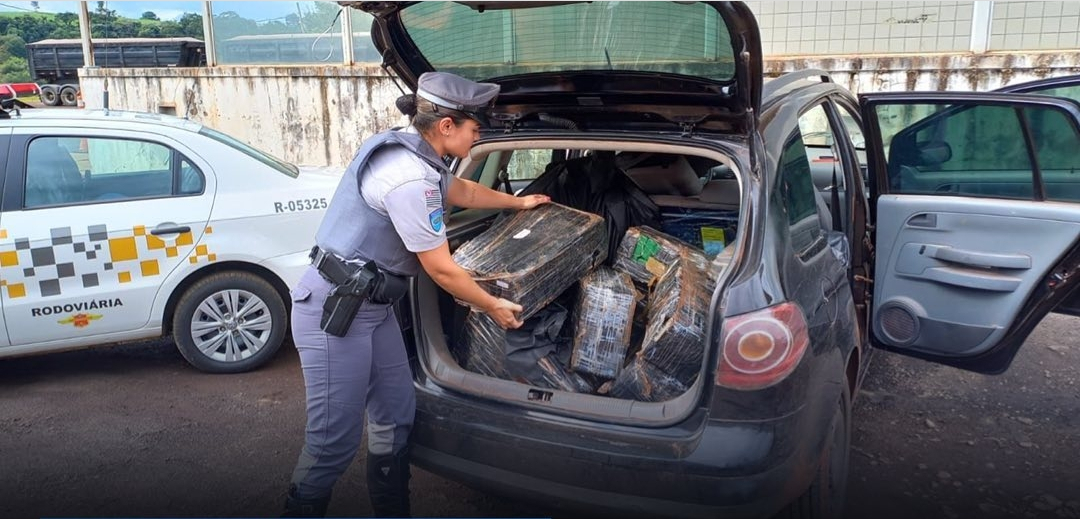 Polícia apreende mais de 500 quilos de maconha na Castello Branco
