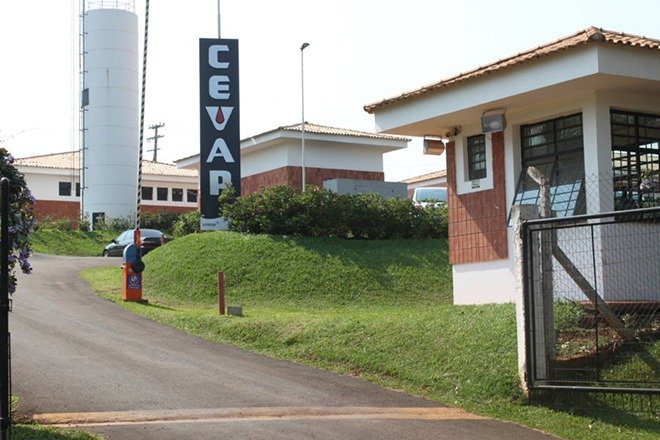 Unesp de Botucatu vai liderar desenvolvimento de biofármacos em SP
