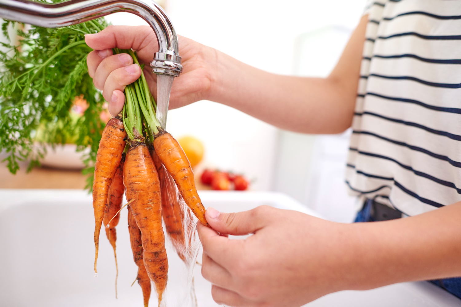 Higienização e manuseio correto de alimentos são essenciais para evitar a salmonella