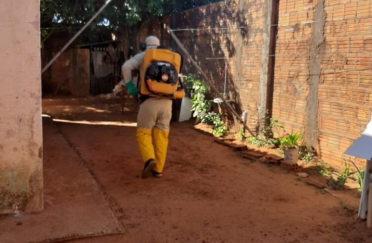 São Manuel soma 81 casos de dengue; Distrito de Aparecida detém o maior contingente de contaminações