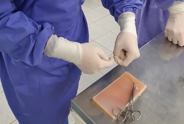 Unesp de Botucatu desenvolve modelo para ensino de técnica cirúrgica