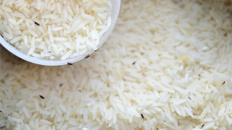 Alimentos com carunchos: nutricionista esclarece sobre prejuízos à saúde