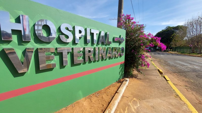 Hospital Veterinário da Unesp Botucatu lança programa de renegociação de dívidas