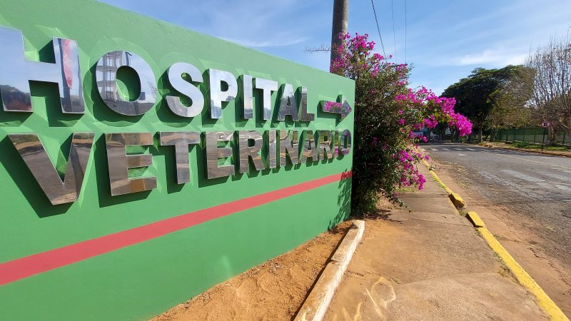 Unesp promove a XV Volta do Hospital Veterinário no dia 21