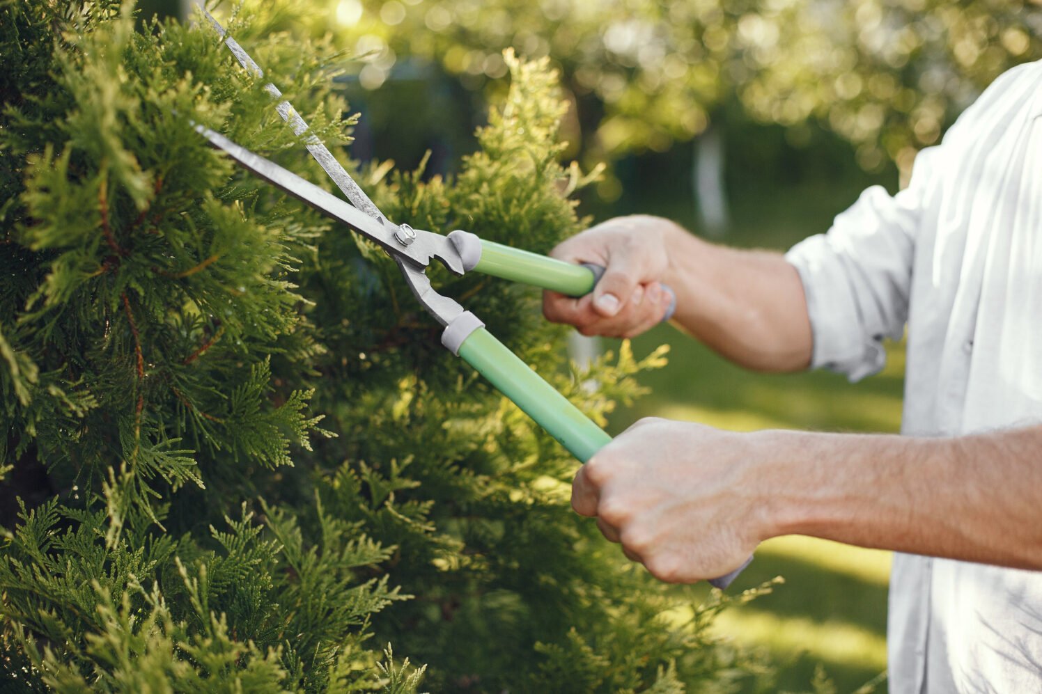 Curso “Seja um Jardineiro Profissional” está com inscrições abertas