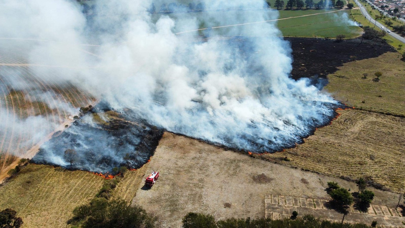 Incêndio destrói área verde próxima à Gastão Dal Farra
