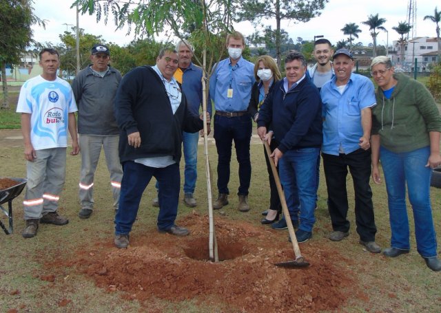 CPFL Paulista planta mais de 750 novas árvores em Pardinho