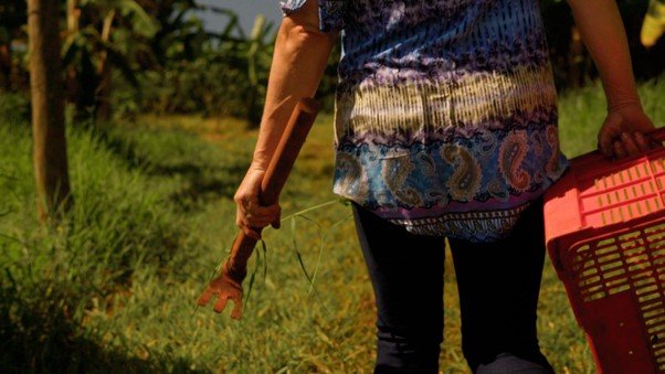 Documentário produzido pela Unesp de Botucatu aborda o cotidiano no campo