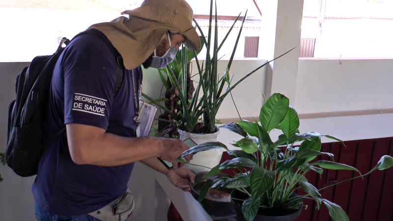 Botucatu tem mais de 260 casos de dengue e Vigilância Ambiental intensifica ações de controle ao Aedes