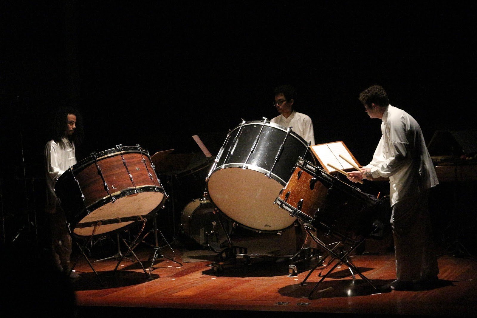 Grupo de Percussão da Unesp realizará concerto em comemoração ao aniversário do Instituto de Biociências de Botucatu