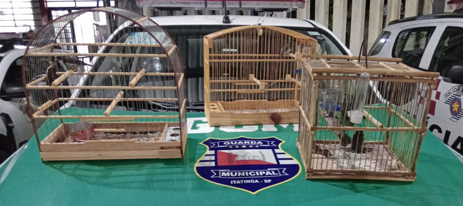 Homens são presos por maus tratos a aves protegidas por lei