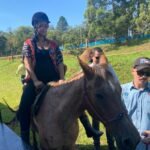 equoterapia