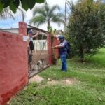 vigilancia