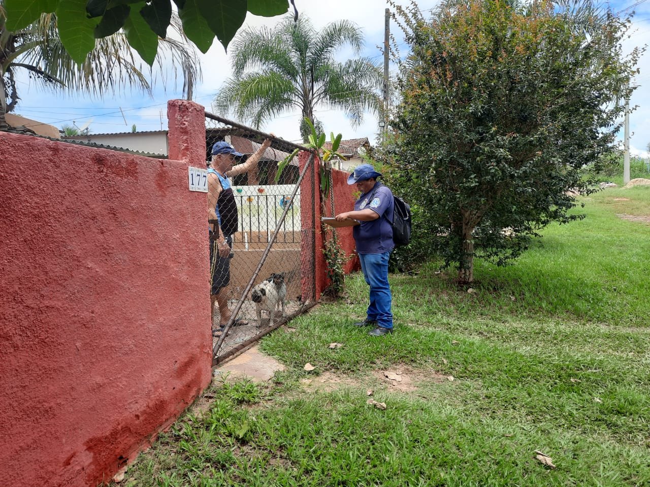 Rio Bonito e Mina registram alto índices de larvas do Aedes aegypti