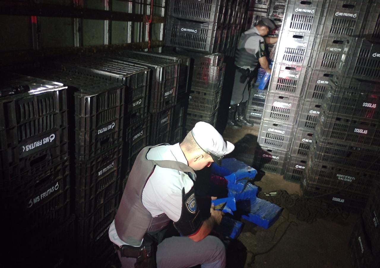 Polícia apreende mais de 500 kg de droga escondidos em caixas de frutas