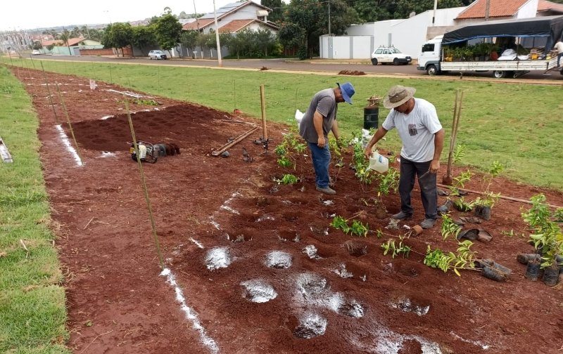 Parque Linear de São Manuel recebe plantio de árvores