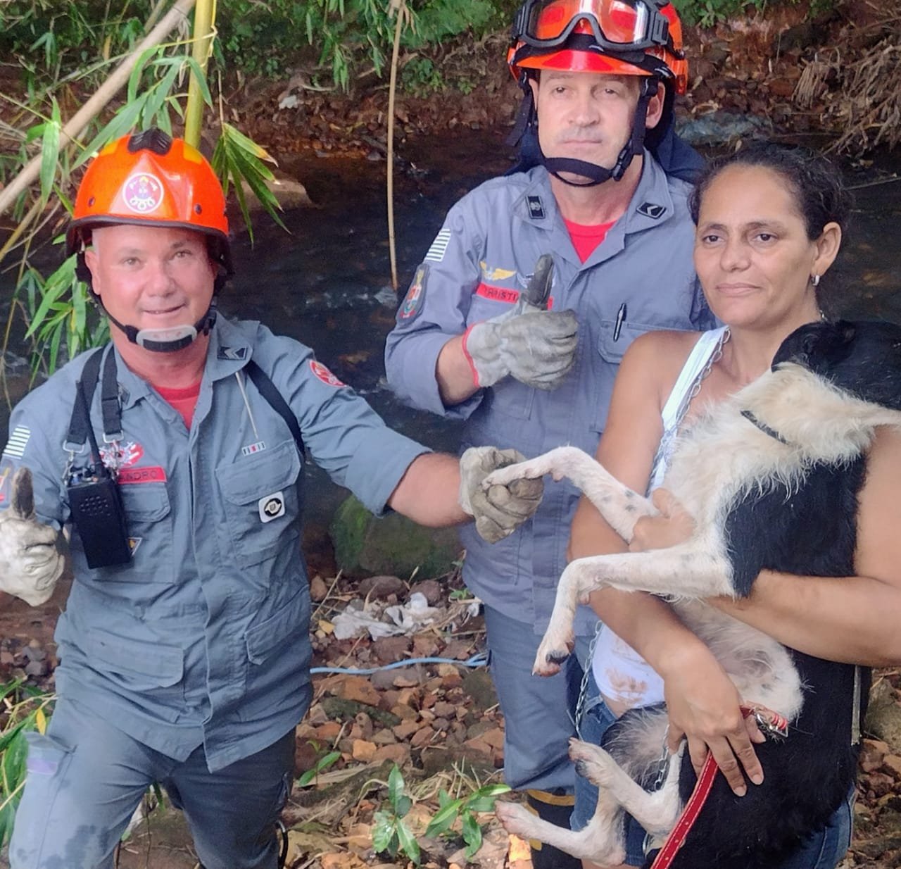 Bombeiros resgatam cachorra que prendeu patas em bambuzal e corria risco de afogamento