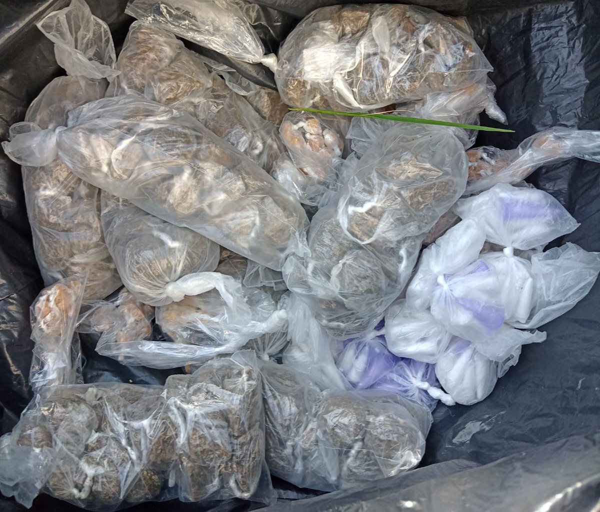 Polícia apreende mais de 780 porções de drogas; adolescente de 12 anos estava envolvido no tráfico