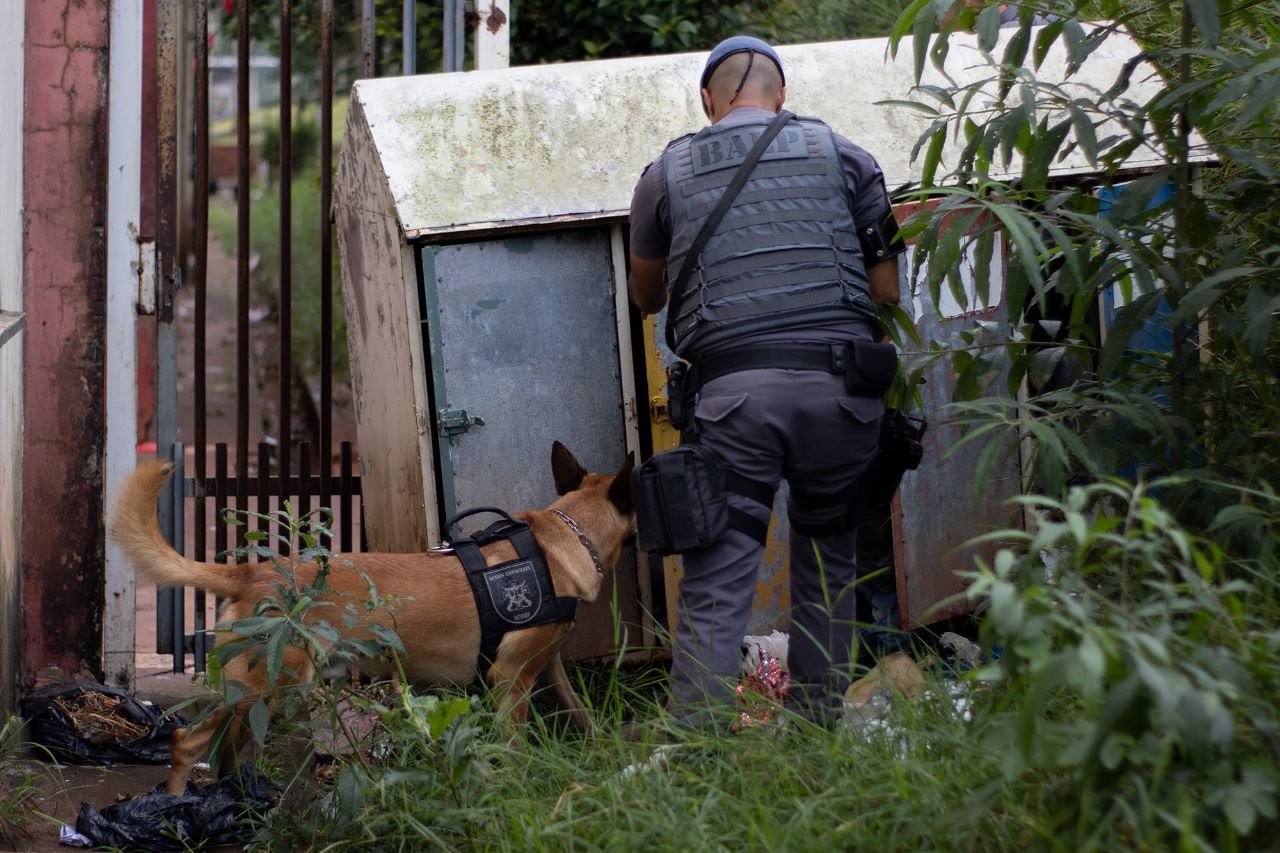 Ação da Polícia resulta em sete prisões e capturas de procurados