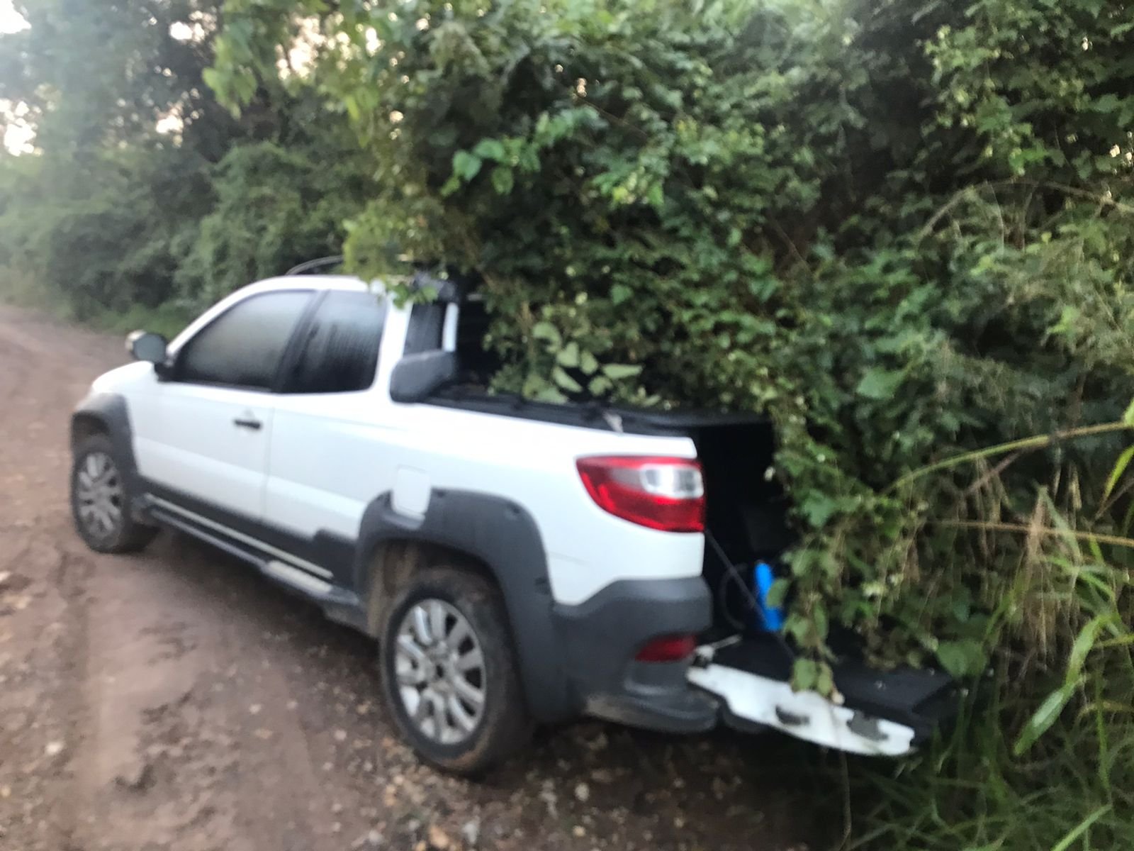 Trio invade, amarra moradores e rouba propriedade rural