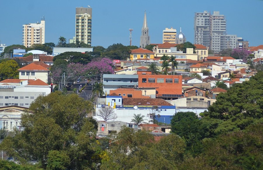 Prefeitura e Câmara de Botucatu começam a revisar legislação sobre arborização