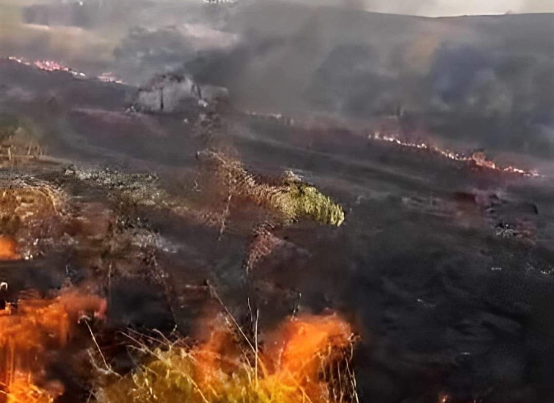 Idoso morre carbonizado após acidente em estrada rural
