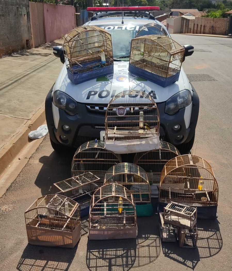 Homem é multado em mais de R$ 6 mil por capturar aves silvestres