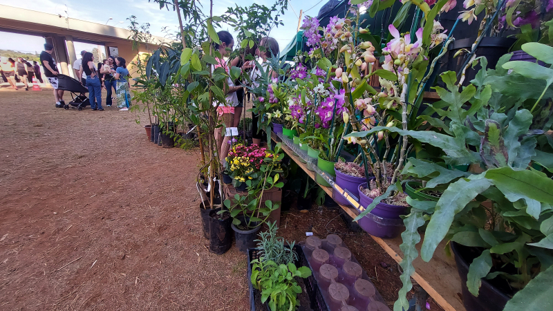 Feira do Verde de Botucatu abre cadastro para empreendedores
