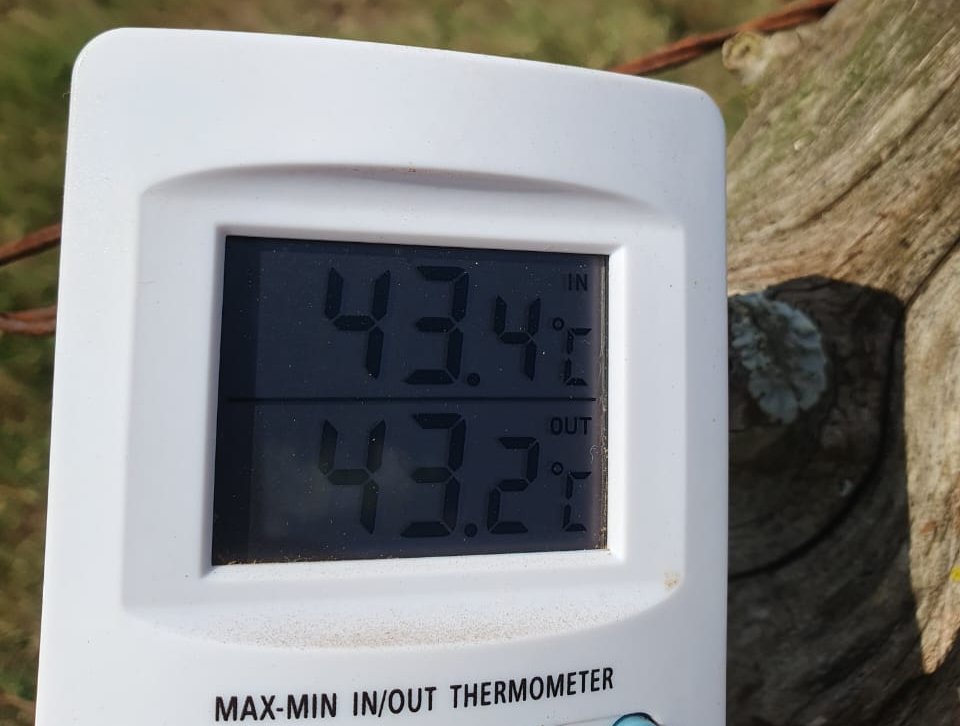 Temperatura atinge máxima de 43 graus na região de Botucatu
