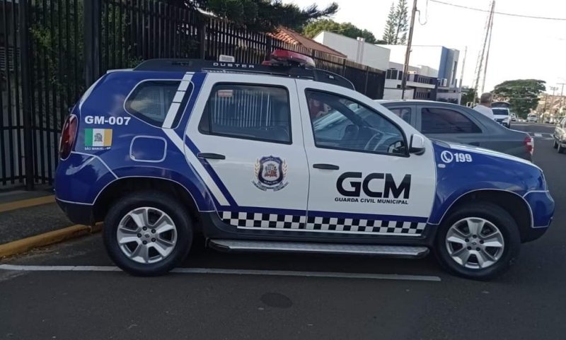 Homem é preso por matar filhote de gato durante briga entre vizinhos