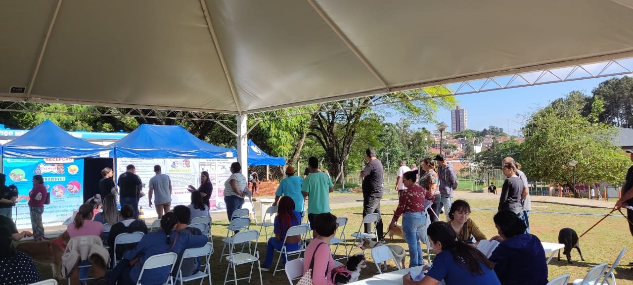 Mutirão castrou mais de 310 cães em Botucatu