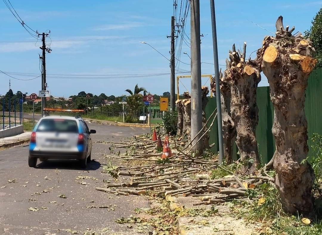 Unesp faz corte preventivo de árvores no campus de Rubião Júnior