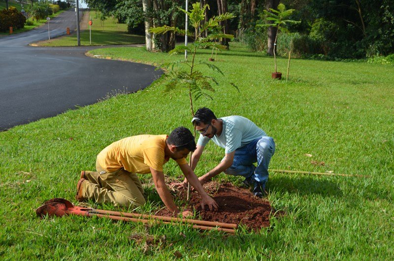 Engenharia Florestal da Unesp Botucatu celebra 35 anos com plantio de árvores