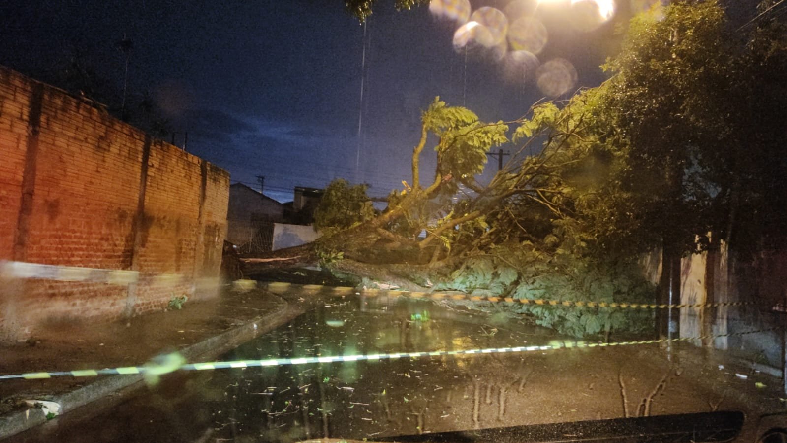 Botucatu: chuva causa quedas de árvores e destelhamento de casa