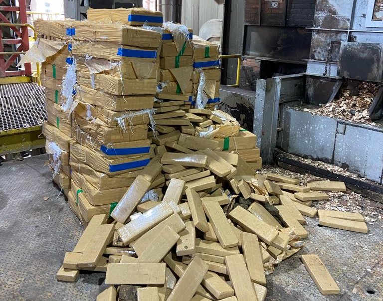 Polícia Civil de Botucatu incinera mais de 1 tonelada de maconha