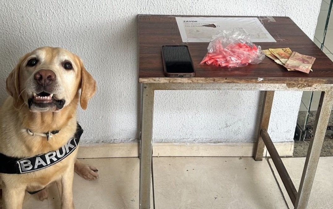 Traficante tenta se esconder em casa abandonada, mas é detido por cachorro da PM