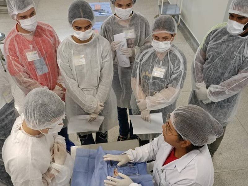 Escola de Verão da FMVZ Unesp recebe 30 estudantes de Botucatu