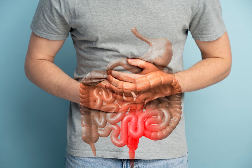Desequilíbrio da microbiota intestinal influencia em doenças psiquiátricas e neurológicas