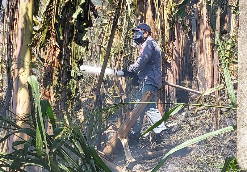 Botucatu: incêndio atinge área de mata próxima a casas