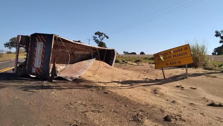 Carreta tomba e derrama 20 toneladas de soja em rodovia