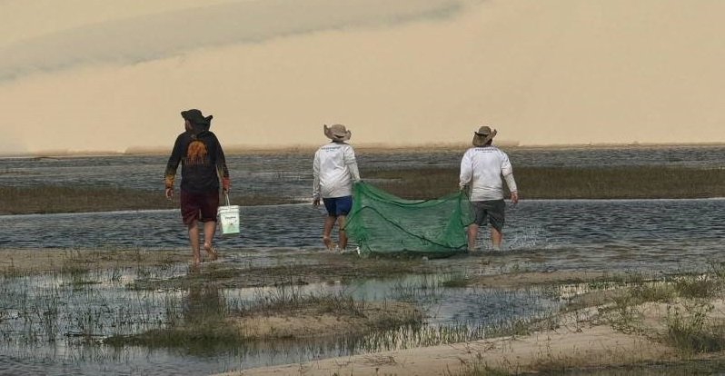 Laboratório da Unesp Botucatu catalogou mais de 100 espécies de peixes