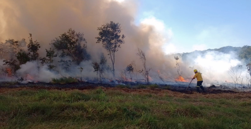 Fumaça de queimadas na gravidez pode afetar o peso do bebê